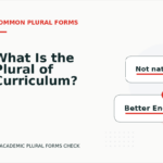 What Is the Plural of Curriculum?