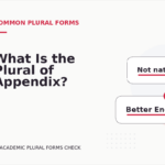 What Is the Plural of Appendix?